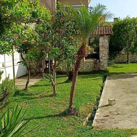 Hector's 4* Alykanas (Zakynthos)