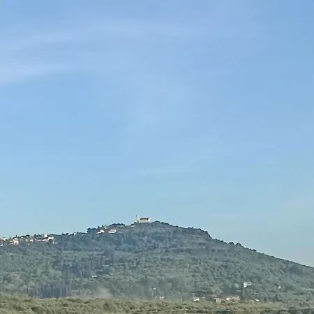 Hector's Alykanas (Zakynthos)