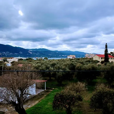 Hector's 4* Alykanas (Zakynthos)