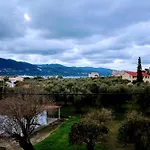Hector's 4* Alykanas (Zakynthos)